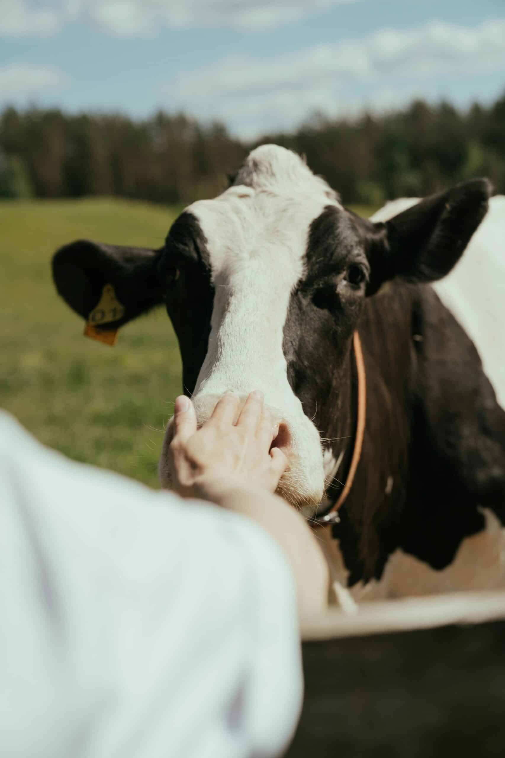 Le projet agrivoltaïque : accompagner les agriculteurs vers un avenir durable