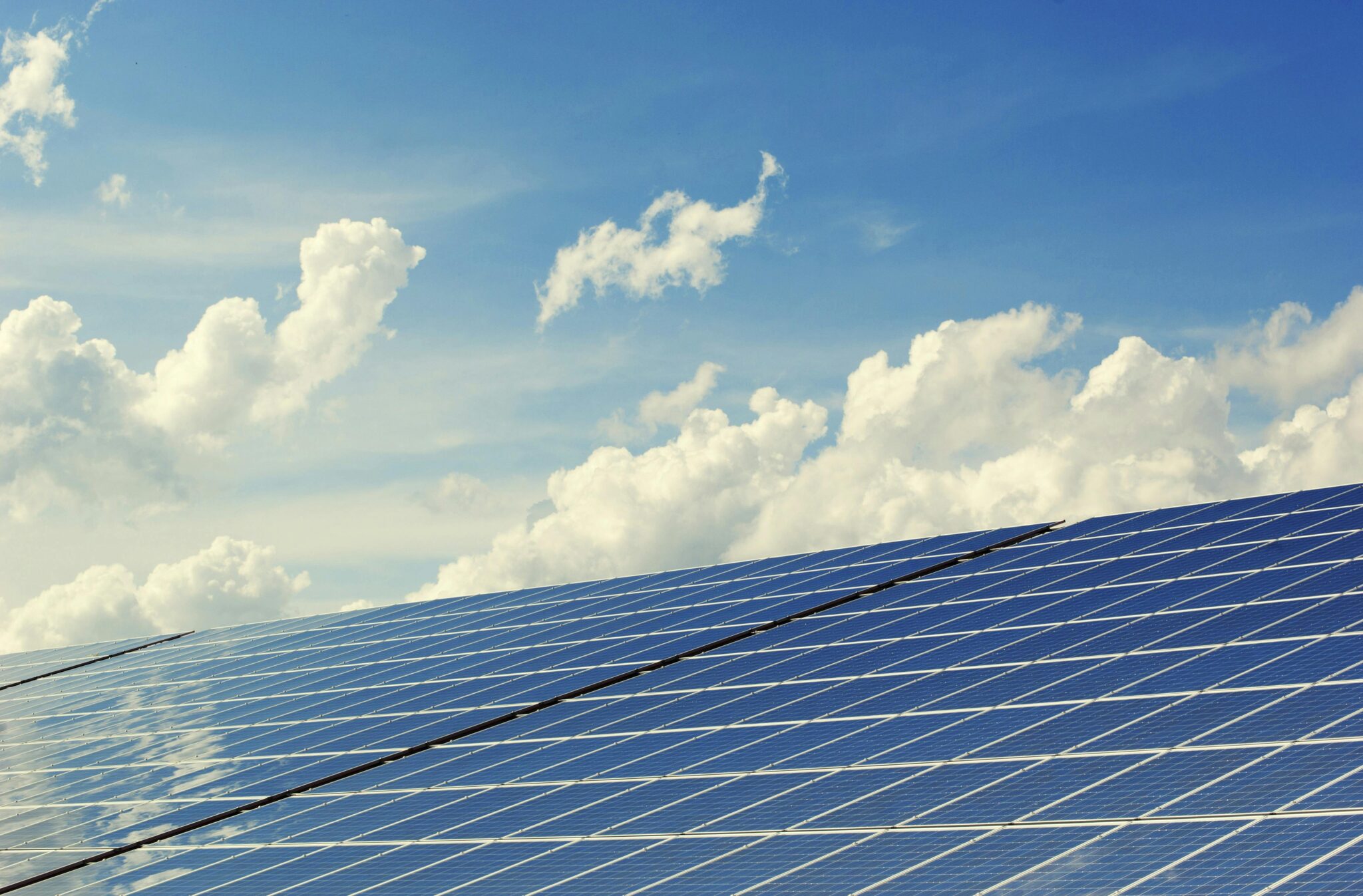 Agrivoltaïsme et centrales solaires sur friches : tout comprendre sur leurs points communs et leurs différences